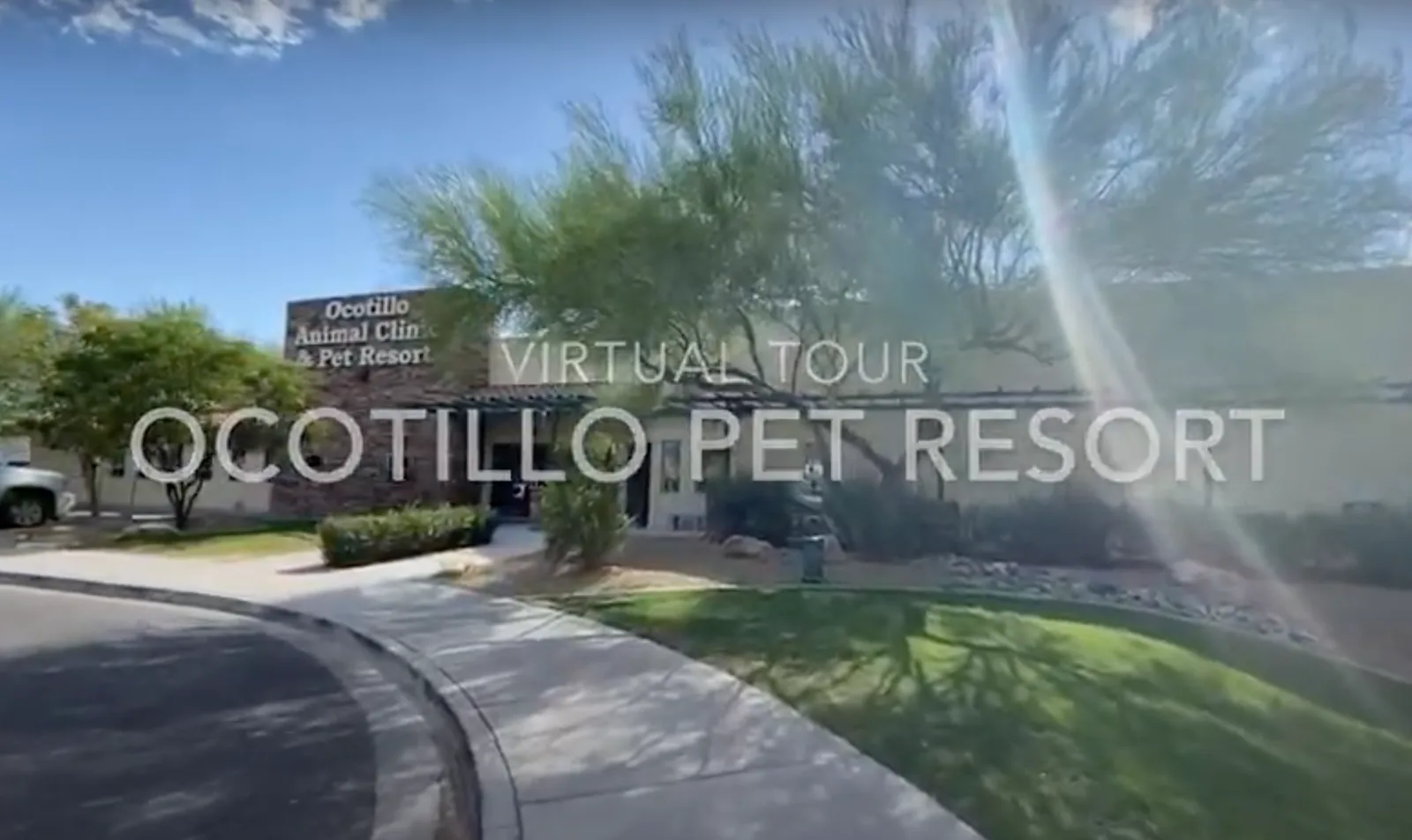 Facility Tour Video for Ocotillo Animal Clinic and Pet Resort